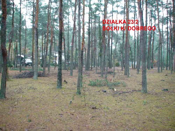 Sprzedam Działkę Leśną   1400 M2. - 20.000 Zł. 2