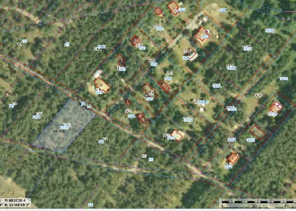 Sprzedam Działkę Leśną   1400 M2. - 20.000 Zł. 3