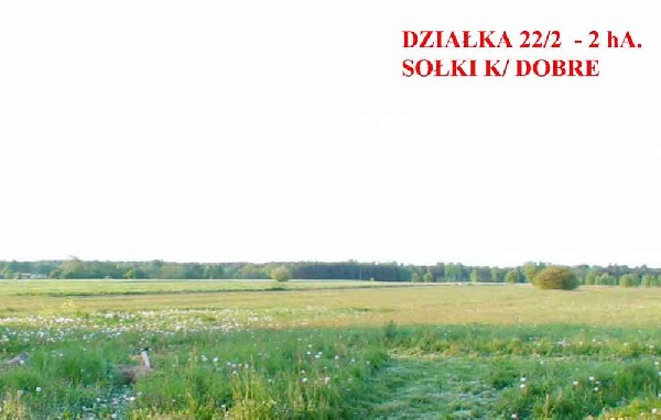 Sprzedam Działkę Rolną -  2,50 Zł. / M2 - 2,00 Ha.