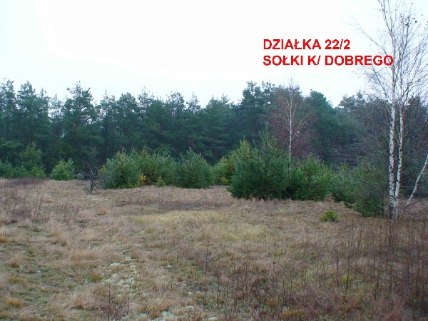 Sprzedam Działkę Rolną -  2,50 Zł. / M2 - 2,00 Ha. 2