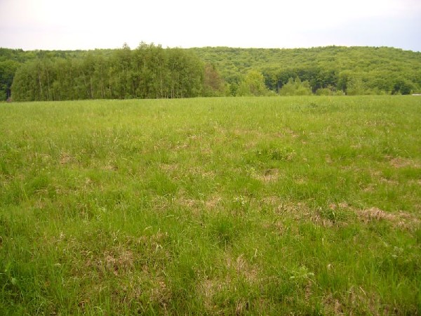 Działki Koło Dębicy 2