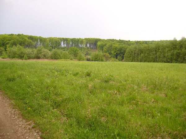 Działki Koło Dębicy 3