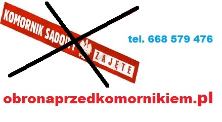 Oddłużanie – Stop Komornik – Umarzanie Odsetek