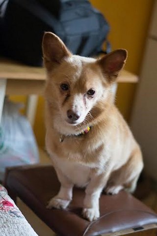 Toffik- Czy Kiedyś Będzie Szczęśliwy? Kto Nauczy Go Jak Kochać? 4