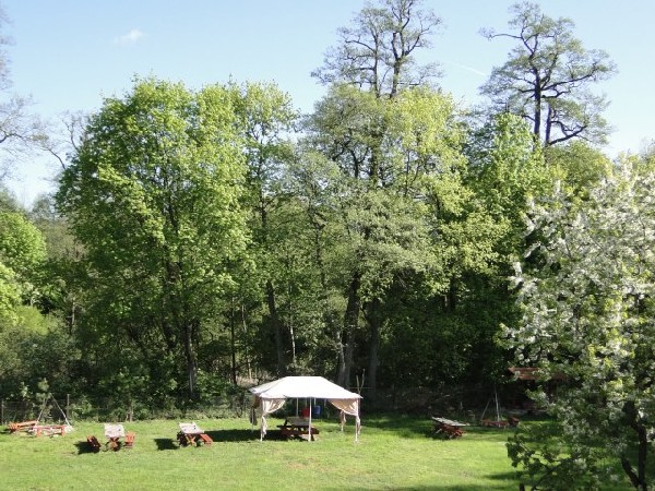 Pole Namiotowe Nad Rzeką Wel * Spływy Kajakowe 4