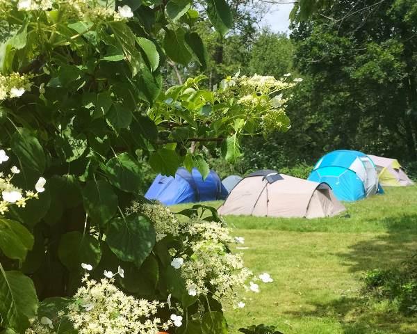 Agroturystyka Nad Rzeką Wel - Pole Namiotowe - Spływy Kajakowe - Noclegi 4