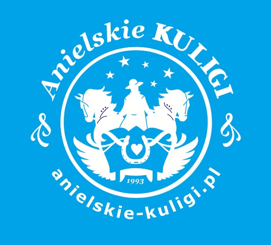  Kuligi W Wiśle – Całoroczna Atrakcja Z Tradycją Dla Grup, Rodzin I Firm 3