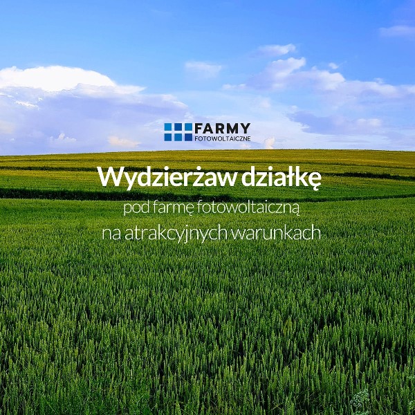 Wydzierżawię Działkę Pod Farmę Fotowoltaiczną