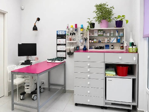 Nowy Vitalvet - Diagnostyka Fip, Weterynarz Kraków I Leczenie Pupila 4